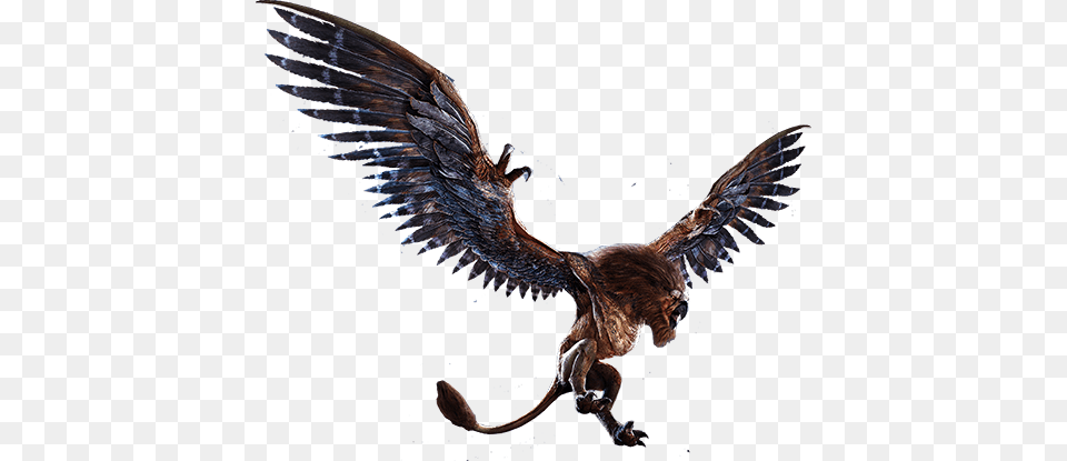 Griffin Background, Animal, Bird Png