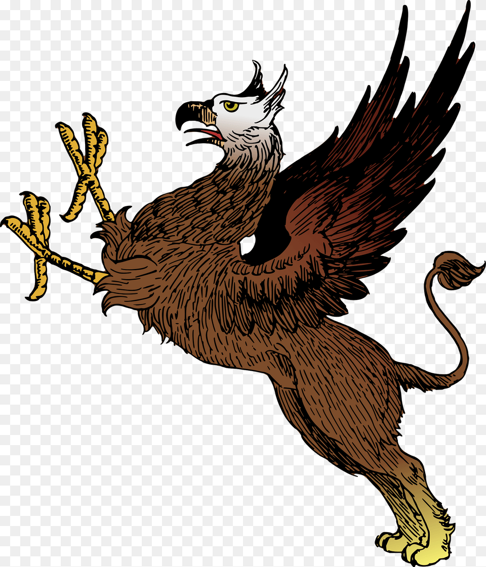 Griffin Clipart, Animal, Beak, Bird, Eagle Free Png