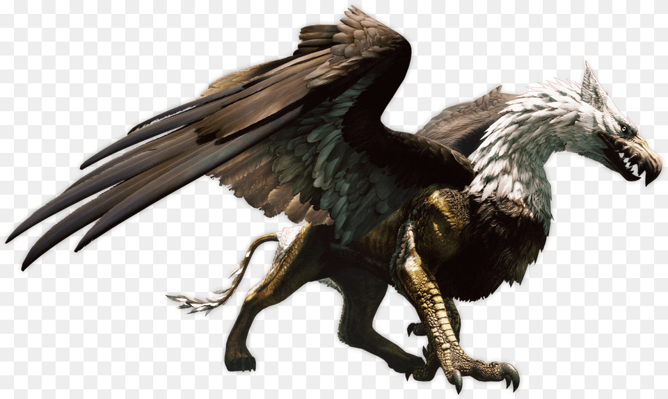 Griffin Dragons Dogma Transparent Dogma Griffin, Animal, Bird, Dragon Free Png Download