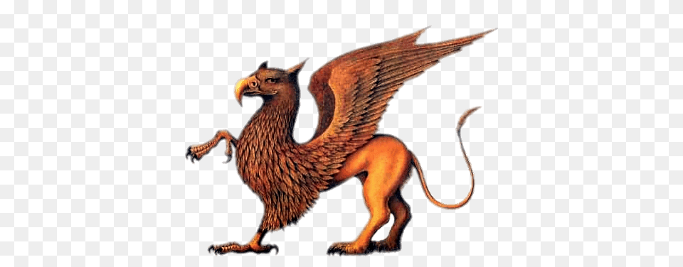 Griffin The Menagerie, Animal, Bird Png Image