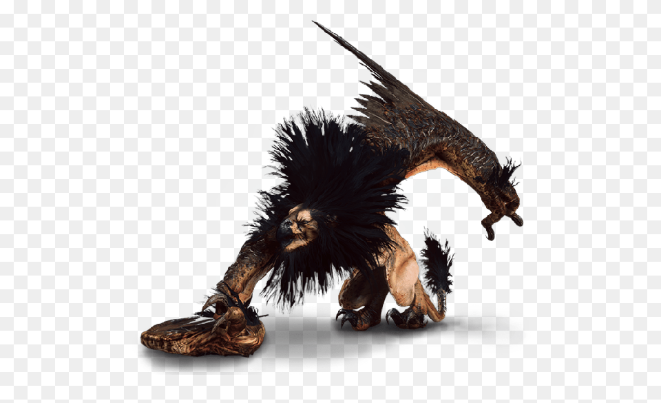 Griffin Witcher, Animal, Dinosaur, Reptile, Electronics Free Transparent Png