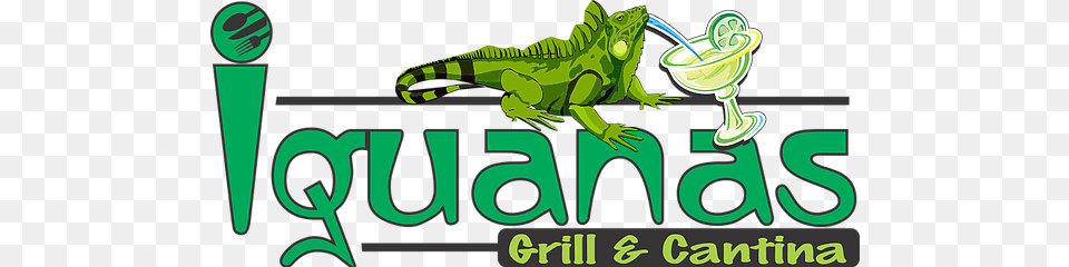 Grill And Cantina Iguanas Grill And Cantina, Animal, Iguana, Lizard, Reptile Free Transparent Png