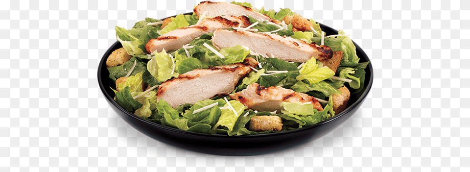 Grilled Chicken Caesar Grilled Chicken Caesar Salad, Food, Lunch, Meal, Dish Png Image