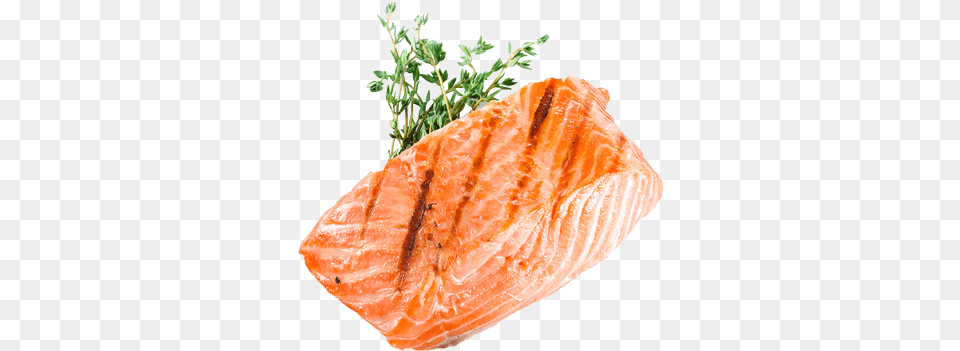 Grilled Salmon White Background, Food, Seafood, Citrus Fruit, Fruit Free Transparent Png