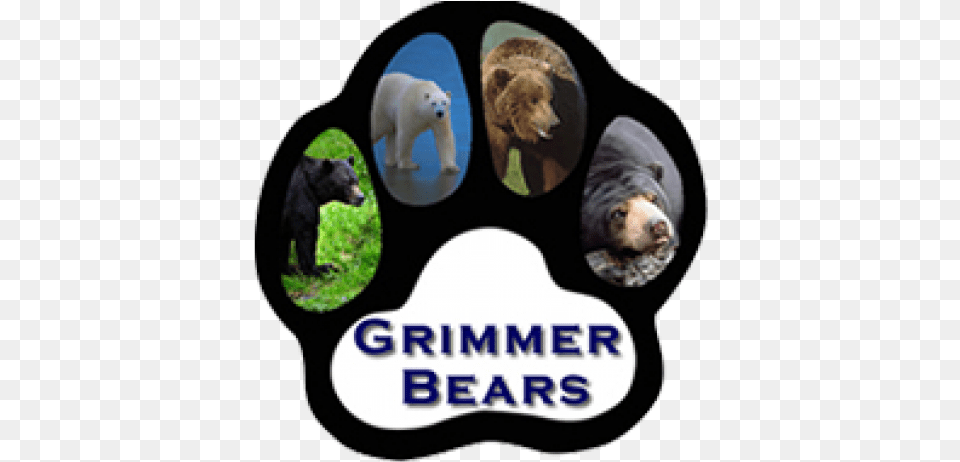 Grimmer Elementary Fremont, Animal, Bear, Mammal, Wildlife Free Png Download