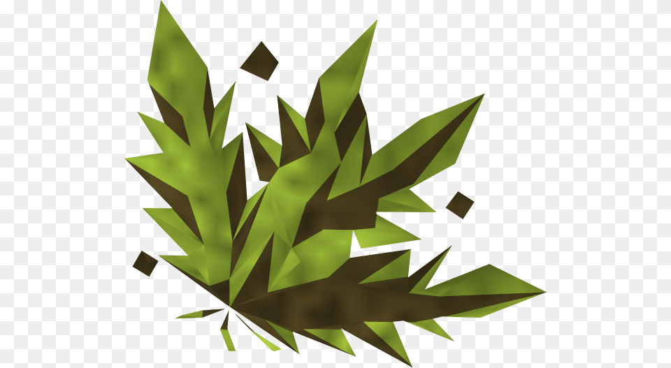 Grimy Ardrigal, Leaf, Plant, Tree Free Transparent Png