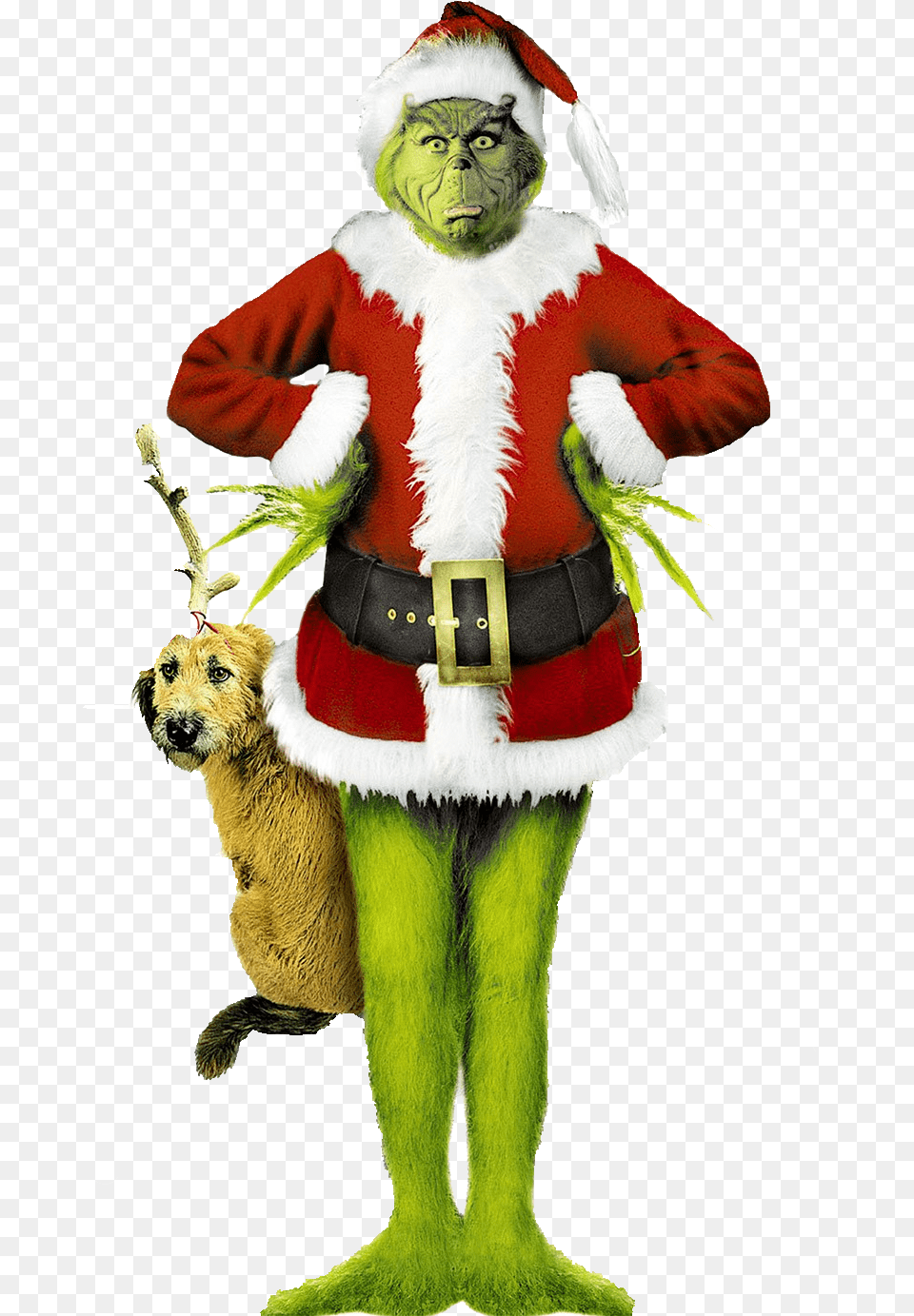 Grinch Jim Carrey Grinch Stole Christmas, Adult, Female, Person, Woman Free Png Download