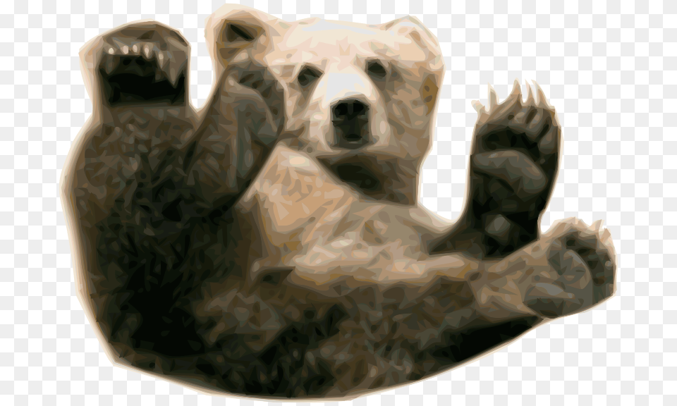 Grizzly Bear 1 By, Animal, Mammal, Wildlife, Brown Bear Png