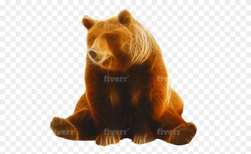 Grizzly Bear, Animal, Mammal, Wildlife, Brown Bear Free Transparent Png