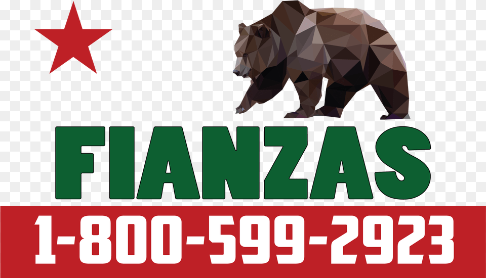 Grizzly Bear, Person, Animal, Brown Bear, Mammal Free Png Download