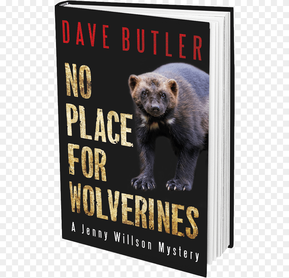 Grizzly Bear, Animal, Mammal, Wildlife, Book Free Transparent Png