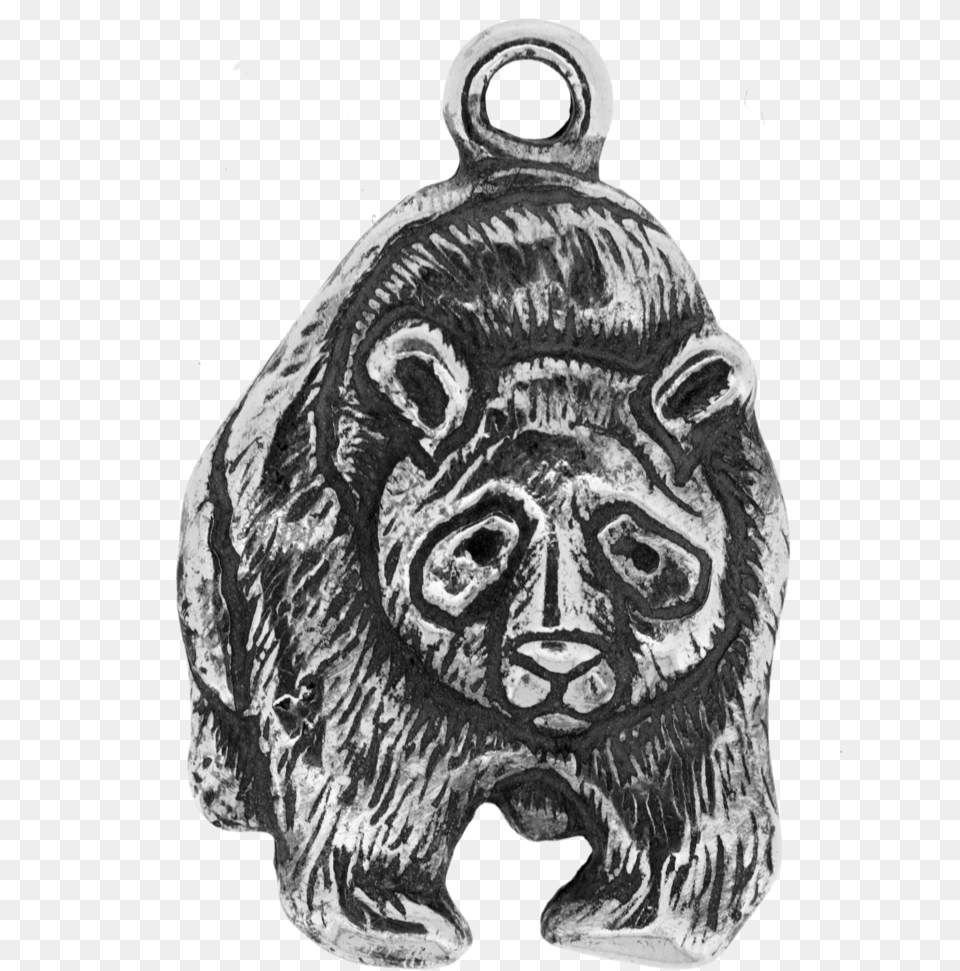 Grizzly Bear, Accessories, Art, Face, Head Free Png