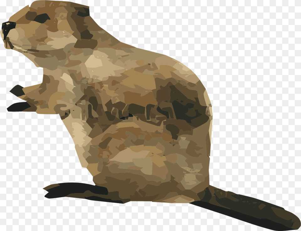 Grizzly Bear, Animal, Mammal, Rodent, Beaver Png