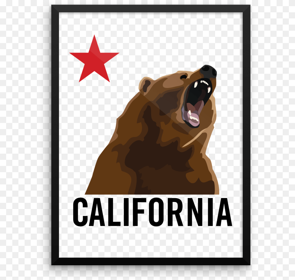 Grizzly Bear, Animal, Mammal, Wildlife, Brown Bear Free Transparent Png