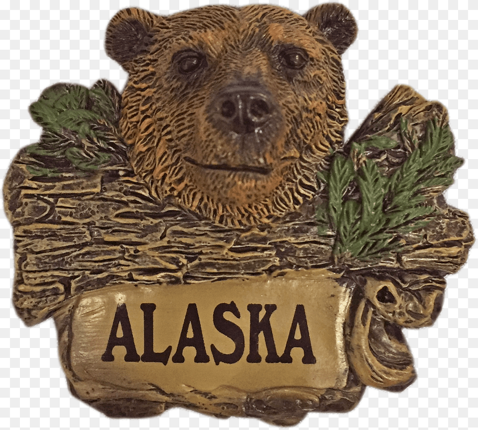 Grizzly Bear, Animal, Mammal, Wildlife, Bronze Free Png
