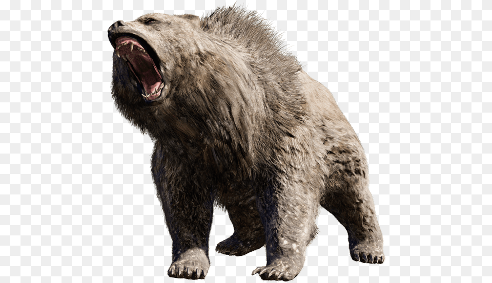 Grizzly Bear Angry Bear, Animal, Mammal, Wildlife, Brown Bear Png