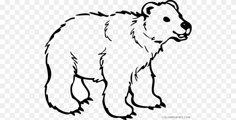 Grizzly Bear Bear 20clip 20art Bear 1 Vqxww8 Coloring Bear Cartoon Black And White, Baby, Person, Face, Head Free Png Download
