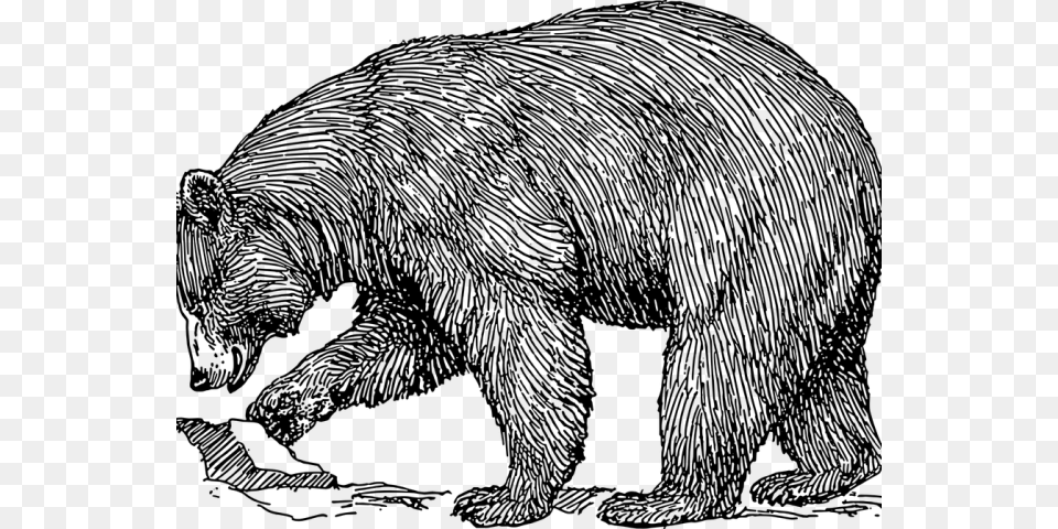 Grizzly Bear Clipart Mammal Realistic Bear Clip Art, Gray Free Transparent Png