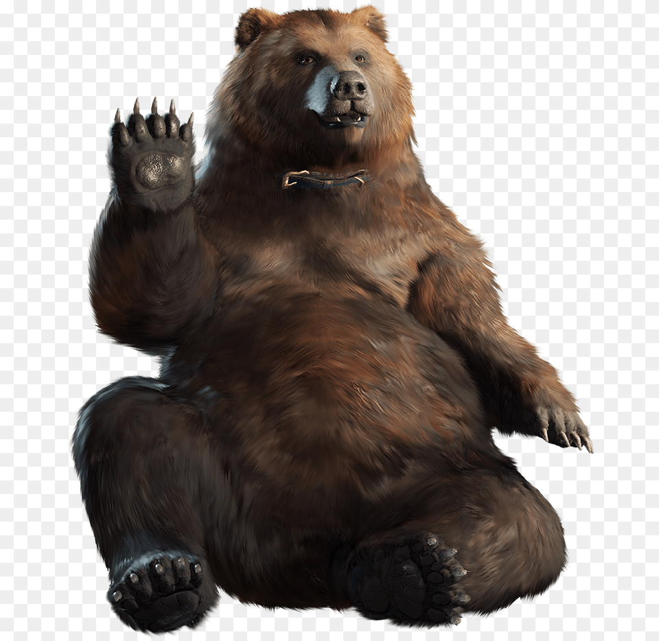 Grizzly Bear Download Far Cry 5 Cheeseburger, Animal, Mammal, Wildlife, Brown Bear Free Png