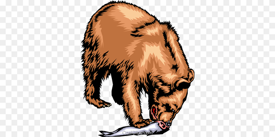 Grizzly Bear Eating A Salmon Royalty Free Vector Clip Art, Animal, Mammal, Wildlife, Brown Bear Png