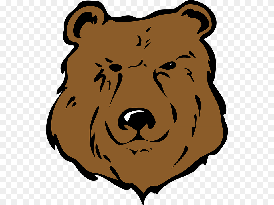 Grizzly Bear Face Cartoon, Animal, Lion, Mammal, Wildlife Png