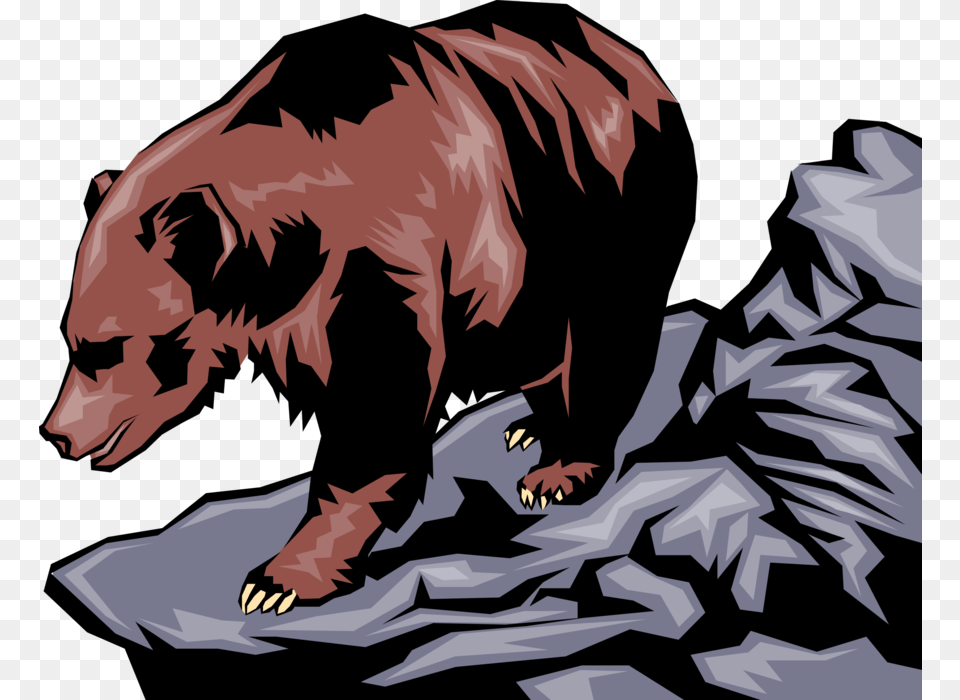 Grizzly Bear Hunts From Shoreline Brown Bear, Electronics, Hardware, Person, Animal Png Image