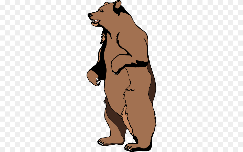 Grizzly Bear Standing Outline Standing Grizzly Bear Outline, Adult, Male, Man, Person Png Image