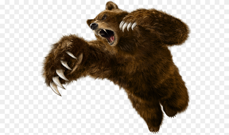 Grizzly Bear Tekken 6 Kuma, Electronics, Hardware, Animal, Mammal Png