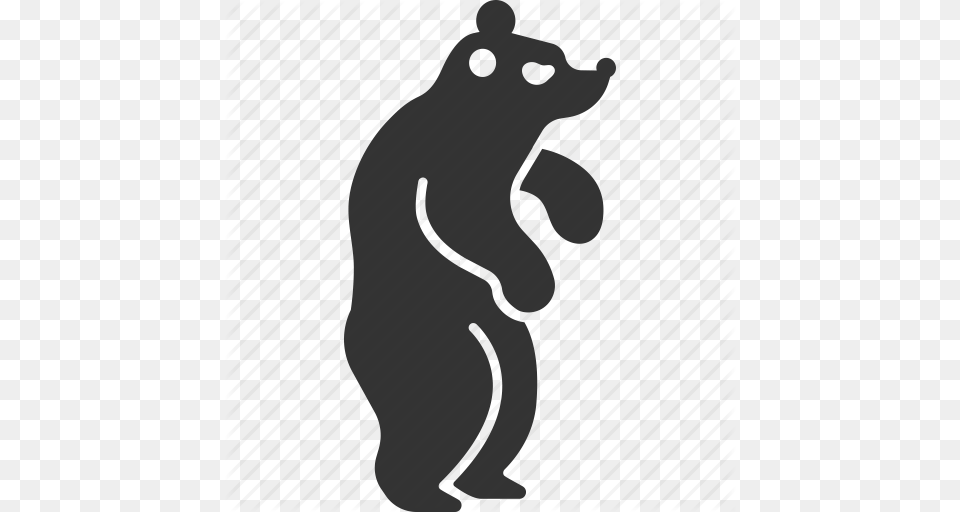 Grizzly Clipart Standing Bear, Person, Animal, Mammal Png