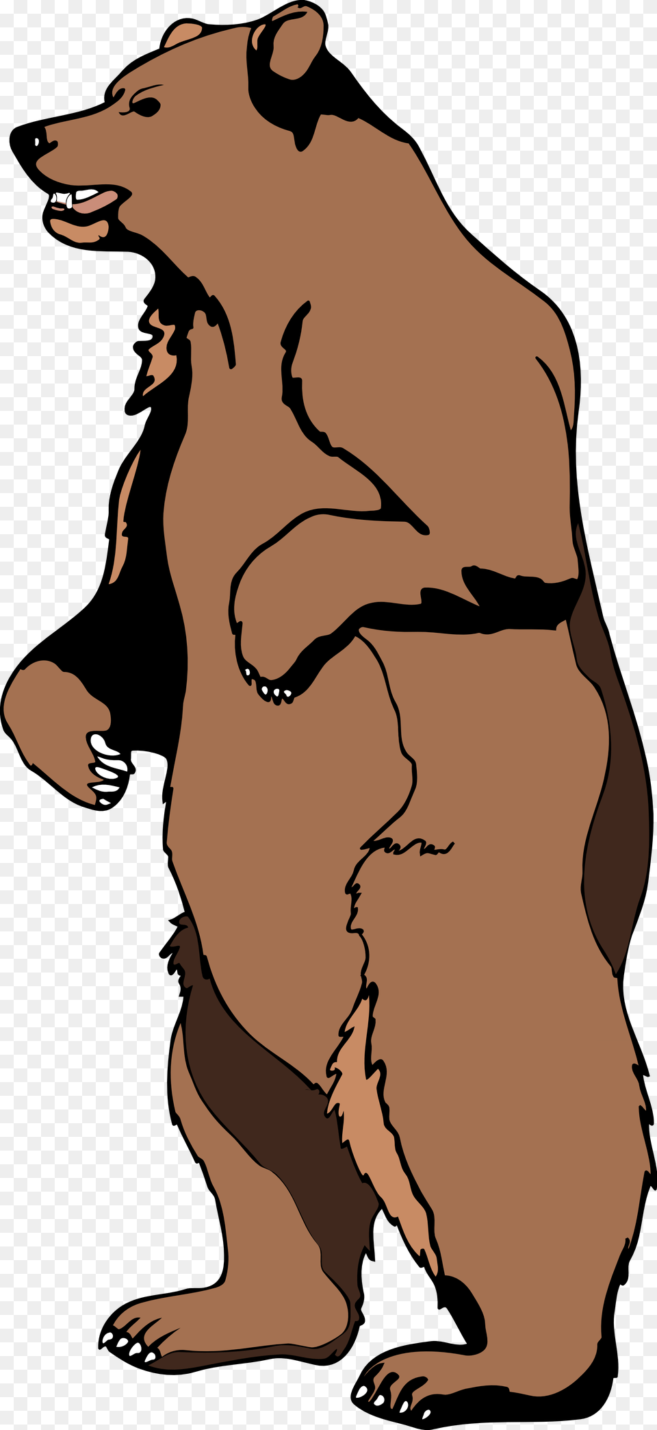 Grizzly Cliparts, Adult, Male, Man, Person Png