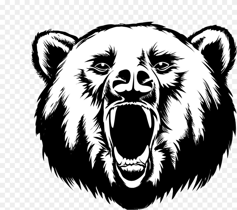 Grizzly Drawing Face Black Bear Head Drawing, Animal, Mammal, Monkey, Wildlife Free Png