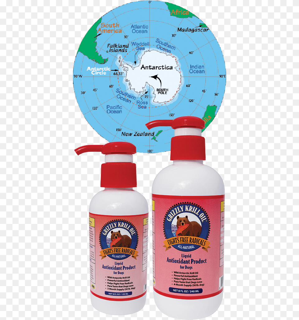 Grizzly Krill Oil Antarctica Continent Information, Animal, Bear, Bottle, Mammal Png