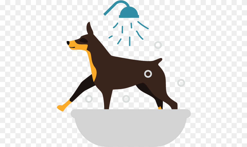 Groomadmin Didi2016 04 23t00 Dog Catches Something, Person, Animal, Kangaroo, Mammal Png