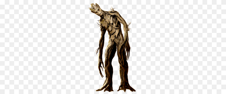 Groot, Wood, Art, Adult, Bride Png Image