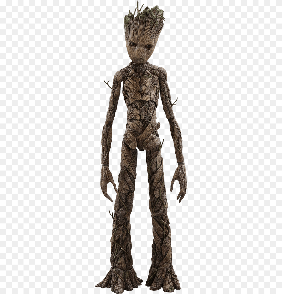 Groot, Boy, Child, Male, Person Free Png Download