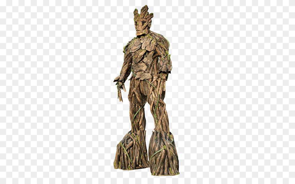 Groot, Adult, Male, Man, Person Free Png