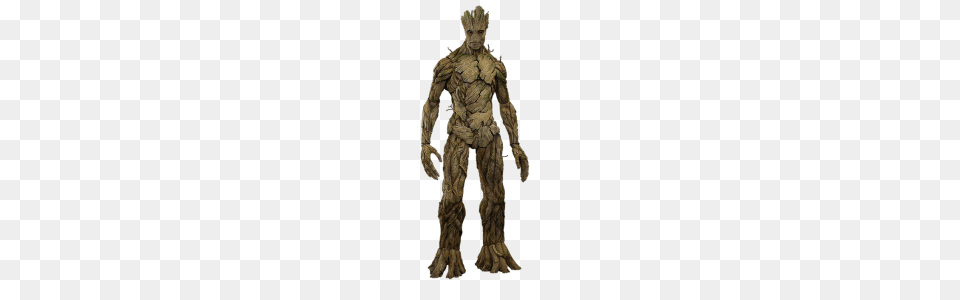 Groot, Bronze, Art, Wood, Adult Png Image