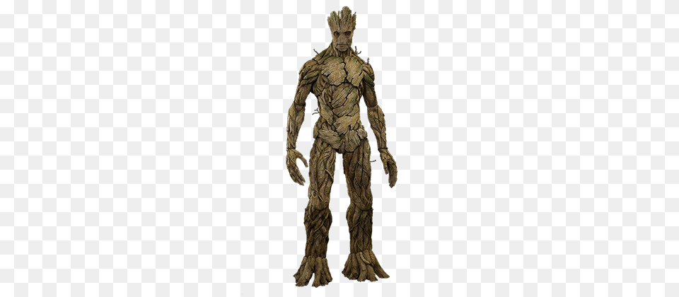 Groot, Adult, Male, Man, Person Free Png Download