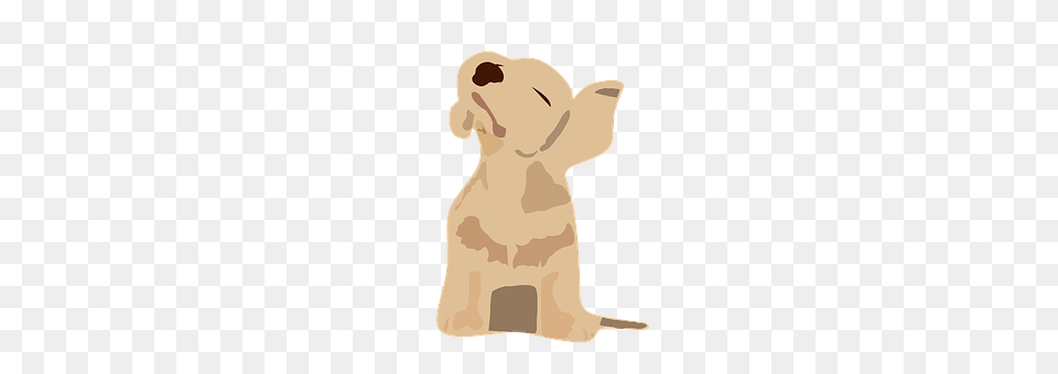 Grooving Animal, Canine, Dog, Mammal Png