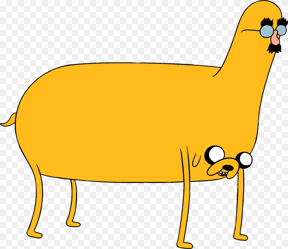 Groucho Jake Adventure Time Jake Big, Animal, Kangaroo, Mammal Free Png Download