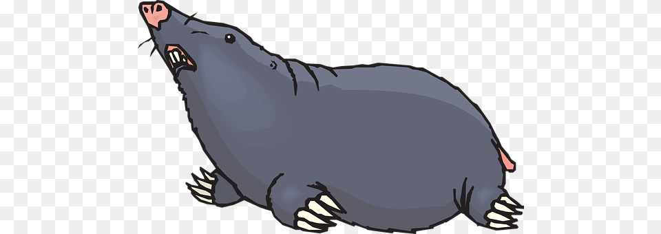 Ground Animal, Mammal, Mole, Baby Png