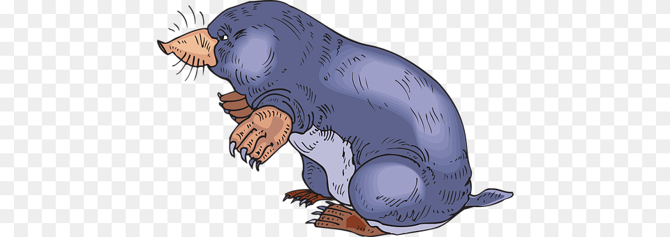 Ground Animal, Mammal, Mole, Person Free Png