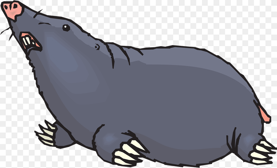 Ground Clipart, Animal, Mammal, Mole, Baby Free Transparent Png