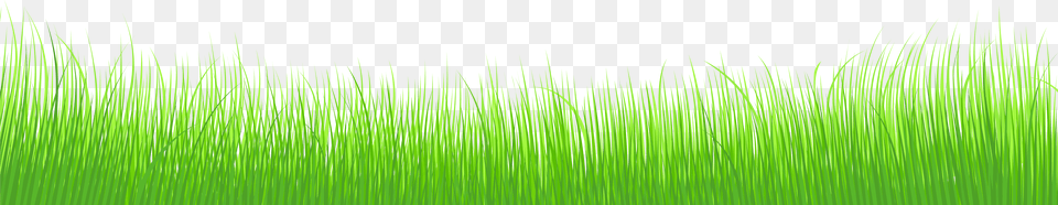 Ground Clipart Grass Border Grass Border Clipart, Green, Lawn, Plant, Vegetation Free Png