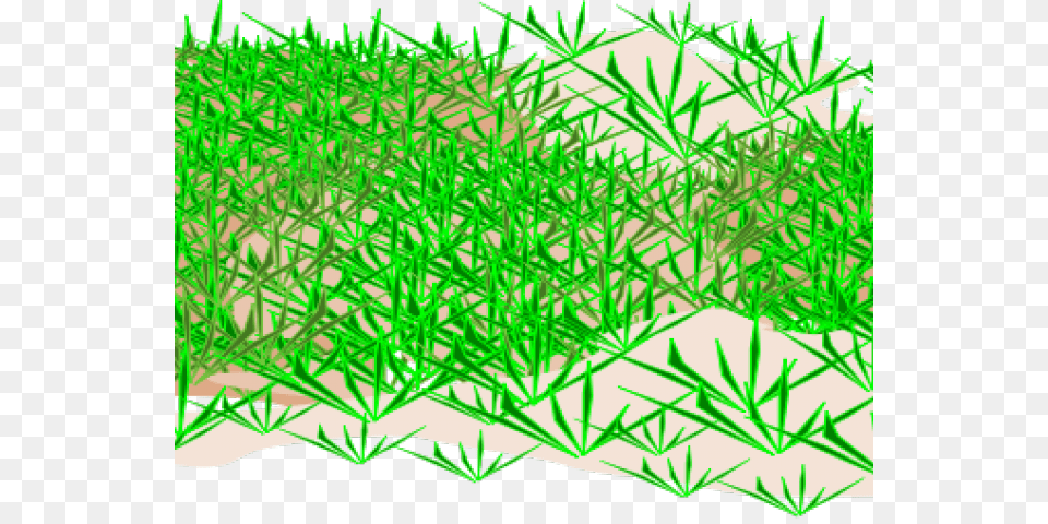 Ground Clipart Grass Grass, Food, Plant, Seasoning, Dill Png