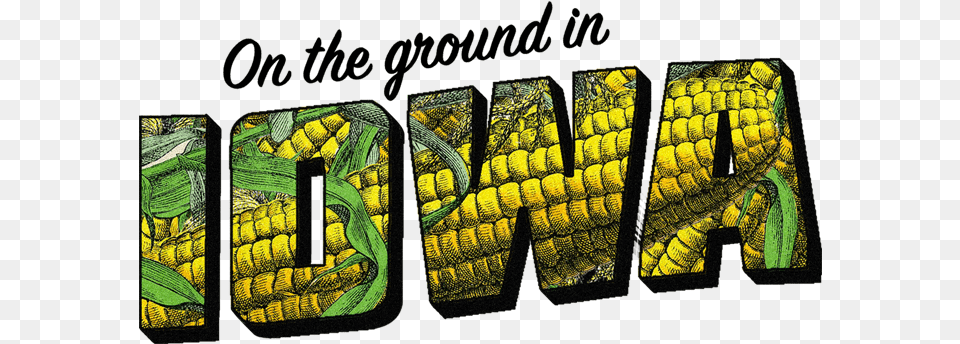 Ground In Iowa, Corn, Food, Grain, Plant Free Png