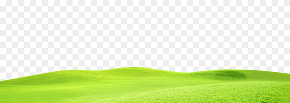 Ground Pic Grass, Field, Outdoors, Nature, Plant Free Transparent Png
