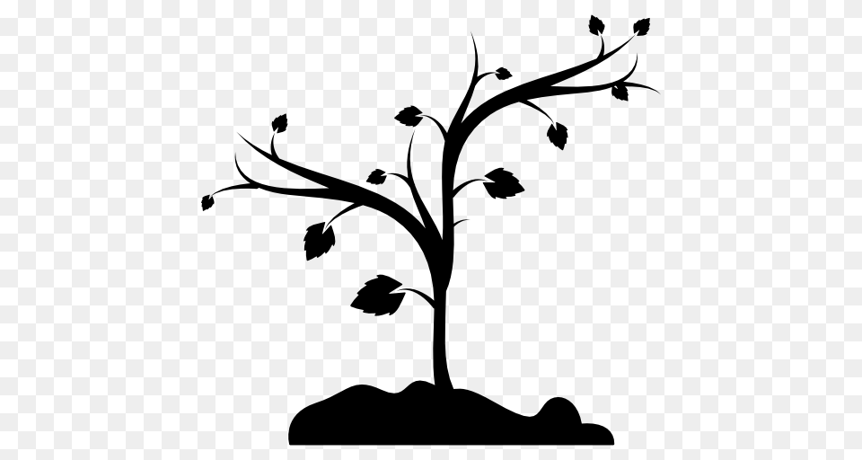 Ground Shapes Tree Trees Shape Nature Branches Icon, Art, Silhouette, Stencil, Graphics Png