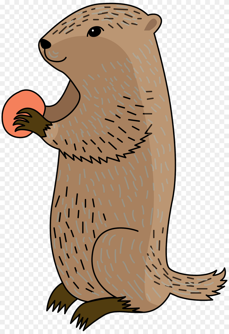 Groundhog Clipart, Animal, Mammal, Wildlife, Otter Free Png