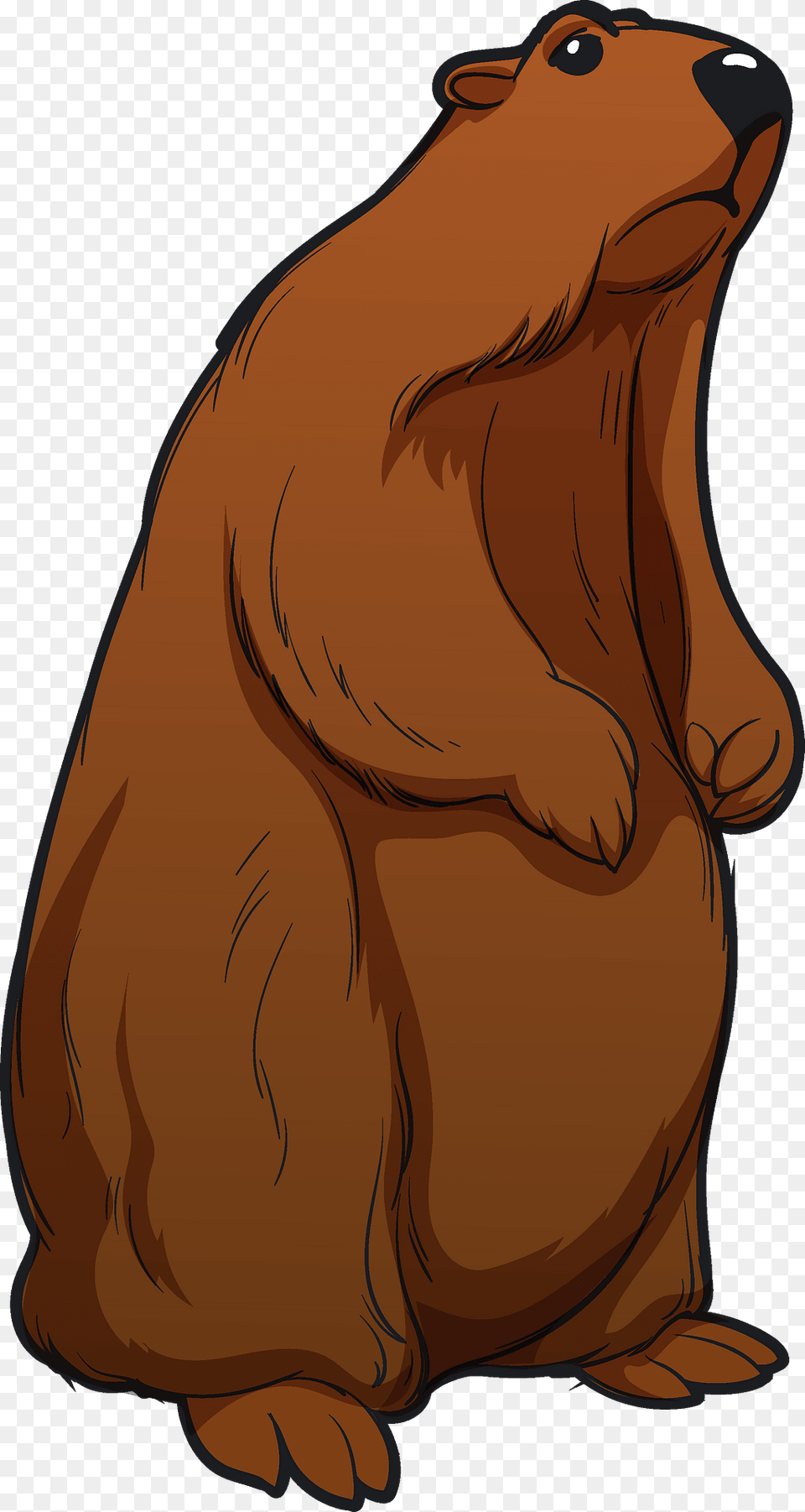 Groundhog Clipart, Animal, Mammal, Beaver, Rodent Png Image